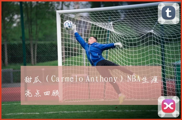 甜瓜（Carmelo Anthony）NBA生涯亮点回顾